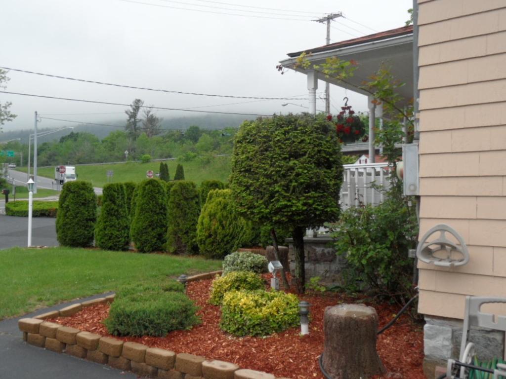 Seven Dwarfs Motel & Cabins Lake George Exterior foto